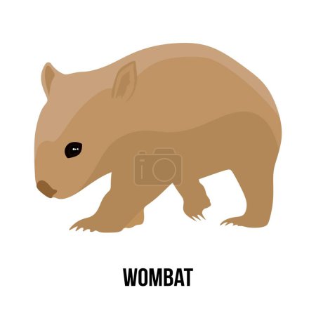 Ilustración de Ilustración de dibujos animados de Wombat - Imagen libre de derechos