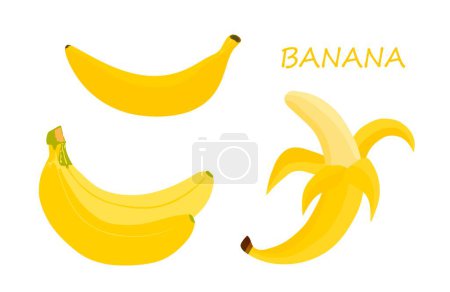 Ilustración de Ilustración de plátano en estilo plano aislado. vector eps10 - Imagen libre de derechos
