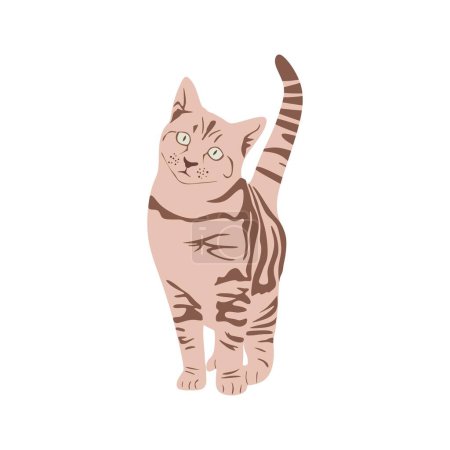 Téléchargez les illustrations : Illustration de chat en style plat. Vecteur isolé - en licence libre de droit
