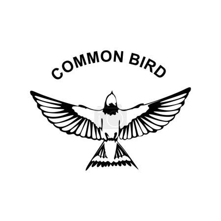 Téléchargez les illustrations : Logo ou emblème d'oiseau commun - en licence libre de droit