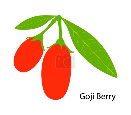 Ilustración de Ilustración vectorial de una baya de Goji. - Imagen libre de derechos