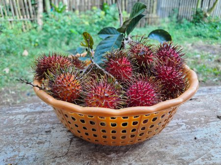 Foto de Frutos de rambután frescos y maduros en la cesta colocada en el banco de madera. Rambutan (Nephelium lappaceum), fruta tropical estacional del sudeste asiático con sabor dulce - Imagen libre de derechos