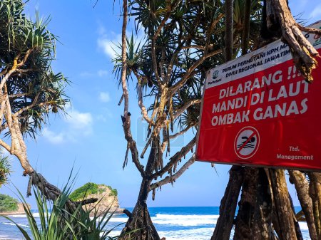 Foto de Tablero de advertencia colocado en el árbol cerca de la playa "No se permite nadar en la playa" escrito en idioma indonesio - Imagen libre de derechos