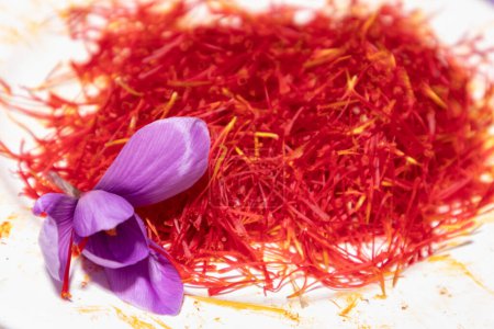 Photo for Saffron flower peel by hand - Royalty Free Image