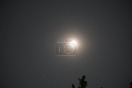 Photo for The moon in the night sky - Royalty Free Image