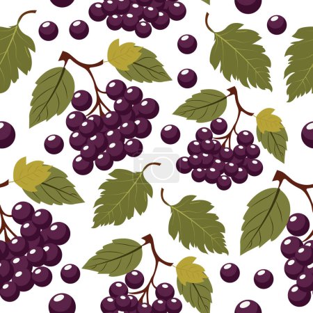 Illustration for Vector seamless pattern with bunches of grapes. - Royalty Free Image