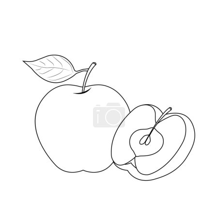 Vektor-Umrissillustration, Malseite eines ganzen Apfels mit einem Blatt und einer geschnittenen Hälfte.