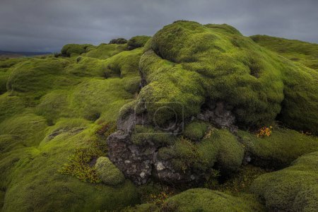 Téléchargez les photos : Située le long de la côte sud de l'Islande, Eldhraun est la plus grande coulée de lave au monde. D'une superficie de 565 kilomètres carrés, le site revêt une importance historique et géologique.. - en image libre de droit