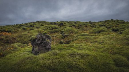 Eldhraun liegt an der Südküste Islands und ist der größte Lavastrom der Welt. Das 565 Quadratkilometer große Gelände ist sowohl historisch als auch geologisch von Bedeutung.. 