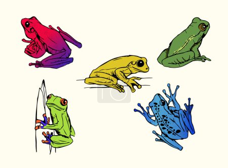Illustration for Set of Poison Frogs - Royalty Free Image