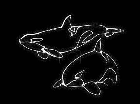 Illustration for Killer Whales on Ligth Black background - Royalty Free Image
