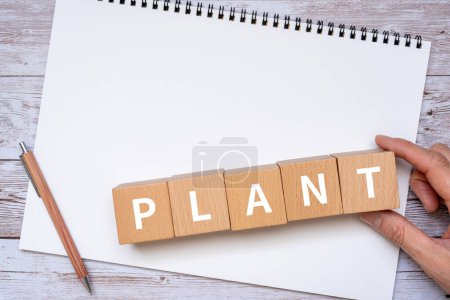 Téléchargez les photos : Blocs en bois avec "PLANTE" texte de concept, stylo, carnet et main. - en image libre de droit