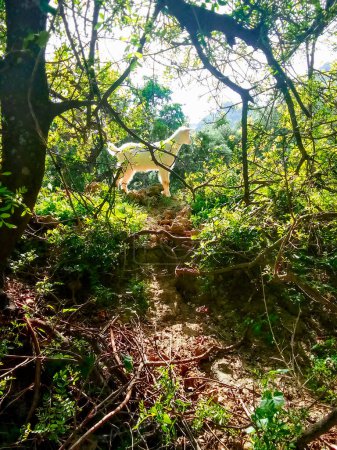 Téléchargez les photos : Une chèvre parmi les arbres - en image libre de droit