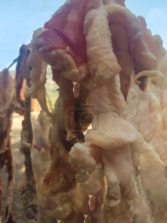 Téléchargez les photos : Cette photo montre une variété de viandes séchées disposées sur suspendue sur une ficelle - en image libre de droit