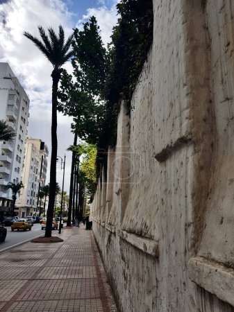 Palmengesäumte Straßen und lange Mauer mit Gebäuden in der Seite der Straße. Starker Kontrast zwischen tropischer Eleganz und verwittertem Backstein schafft eine fesselnde Szene eskapistischer Flexibilität inmitten des Stadtbildes.
