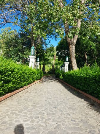 A verdant path through a city oasis. Immerse yourself in nature as you wander along a sun-dappled path, its gentle landscape inviting you to explore the tranquility of the urban park.