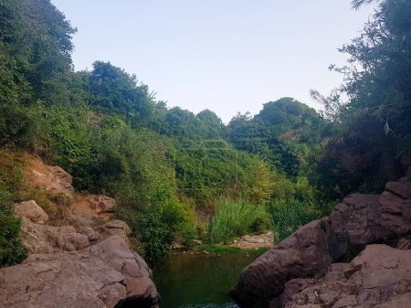 Teich mit Brombeerdistel als Erinnerung an die Kraft der Natur. Die Distel wächst in einem Tal mit einem natürlichen Becken und ist von Felsen und Felsen umgeben.