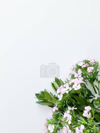 Foto de Dianthus japonica y laurel. marco floral con espacio vacío para texto o inscripción. postal de primavera - Imagen libre de derechos