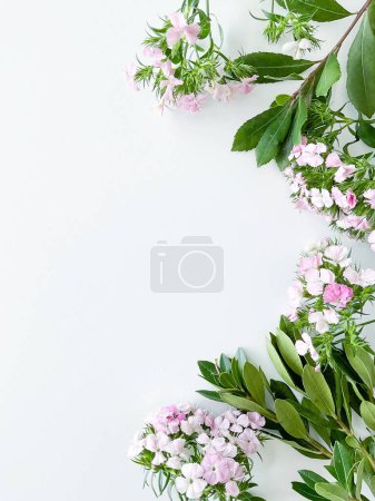 Dianthus japonica and laurel leaves. floral frame with empty space for text or inscription. spring postcard