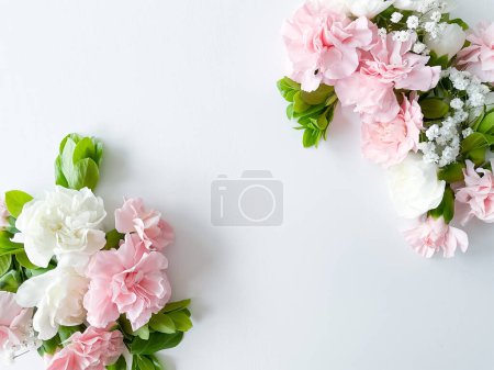 Bordüre aus rosa und weißen Nelken blühen auf weißem Hintergrund. Flache Lage, Draufsicht. Blumenrahmen.