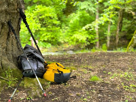 Gelbe und graue Wanderrucksäcke und Trekkingstöcke lehnen im Wald an einem Baum. Outdoor-Abenteuer und Campingausrüstung in natürlicher Umgebung. Konzept für Wanderungen und Übernachtungen im Wald. Hohe Qualität