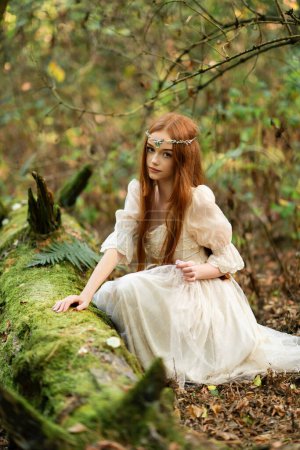 Téléchargez les photos : Portrait d'une belle fille aux cheveux roux en robe de princesses légères et tiare près de l'arbre de mousse. Histoire de conte de fées sur elven.Amazing modèle posant dans la forêt.Travail d'art chaud - en image libre de droit
