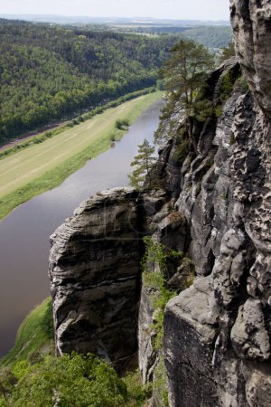 Téléchargez les photos : Une falaise rocheuse jaillit d'une forêt de conifères et de l'Elbe dans le parc national allemand Suisse saxonne - en image libre de droit