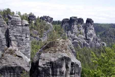 Téléchargez les photos : Une falaise rocheuse jaillit d'une forêt de conifères dans le parc national allemand Suisse saxonne - en image libre de droit