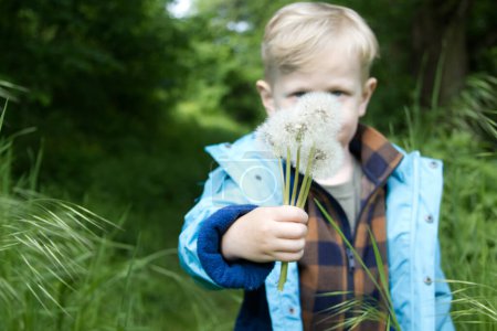 Photo for A blond boy holds out a bouquet of white fluffy dandelions - Royalty Free Image