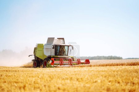 Photo for Modern industrial combine harvester harvests wheat cereals on a summer day. Grain harvester. Concept of agriculture, gardening. Time to harvest! - Royalty Free Image