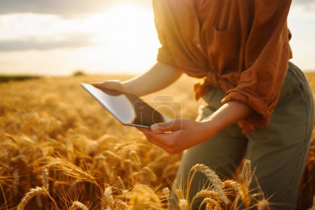 Foto de Una mujer agrónoma comprueba la cosecha. Concepto de agricultor inteligente. Una cosecha abundante - Imagen libre de derechos