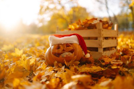 Photo for Funny Halloween pumpkins among the yellow fallen leaves in the autumn park. Holiday concept. - Royalty Free Image