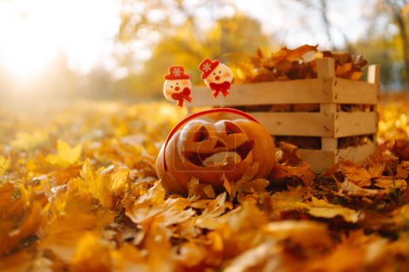 Photo for Funny Halloween pumpkins among the yellow fallen leaves in the autumn park. Holiday concept. - Royalty Free Image