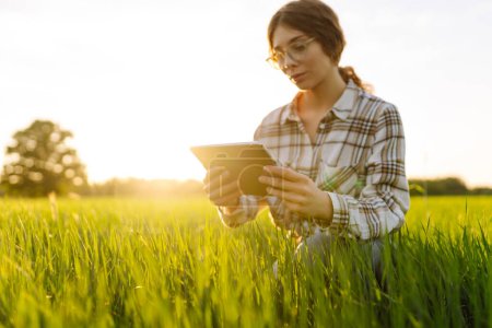 Foto de A woman farmer holds a digital tablet checking the quality of the crop in a sunset field. The concept of a rich harvest, gardening, ecology. - Imagen libre de derechos