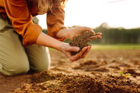 Téléchargez les photos : Du sol noir entre les mains d'une agricultrice. Les agricultrices font des recherches sur le sol. Les agricultrices font des recherches sur le sol. - en image libre de droit