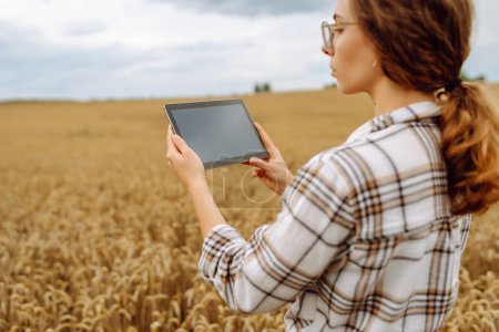 Téléchargez les photos : Jeune femme dans un champ de blé doré avec tablette contrôle la croissance et la qualité de la culture. Agriculture, jardinage, commerce ou écologie concept. - en image libre de droit