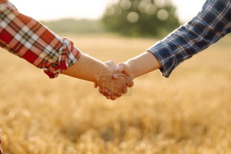 Téléchargez les photos : Deux agriculteurs se serrent la main sur le fond d'un champ de blé au coucher du soleil. Concept d'agriculture et de récolte - en image libre de droit