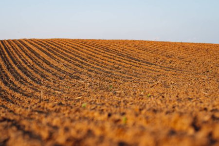 Close-up of black soil.  Rural landscape.  Agriculture farm.