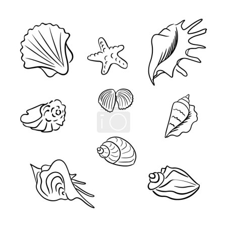 Set of hand drawn doosle seashells. Outline seashells and sea star isolated on white background. Vector line art. Perfect for coloring pages, tatoo, pattern, background, wrapping paper, banner