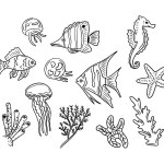 Set of hand drawn doodle sea fish. Vector isolated sketch creatures on white background. Unique outline design. Perfect for coloring pages, tatoo, wrapping paper, pattern, background