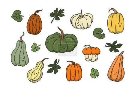 Cute kawaii different types of autumn pumpkins. Collection of vector flat squashes in cartoon style. Isolated vegetables with cutie faces on white background. Ideal for stickers, decoration, partten