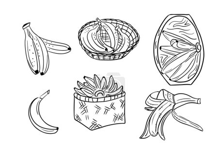 Hand drawn sketchy outline set with banana fruits. Doodle black contour fruits in basket and on plate on white background. Ideal for coloring pages, tattoo, pattern