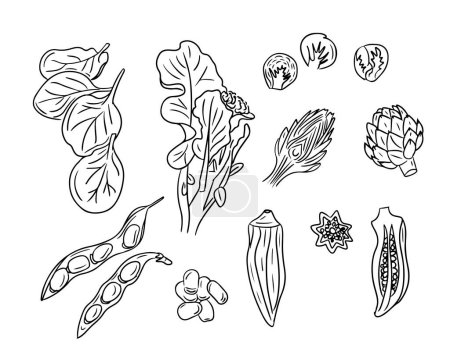 Ilustración de Dibujos incompletos de verduras verdes para una alimentación saludable. Doodle contorno verduras sobre fondo blanco. Ideal para colorear páginas, tatuaje, patrón - Imagen libre de derechos