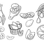 Big set of outline sketchy drawings of avocados. Black contour doodles isolated on white background. Vegan friendly concept. Ideal for coloring pages, tattoo, pattern