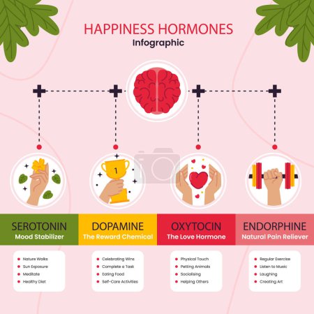Téléchargez les illustrations : Diagramme illustrant les différents types d'hormones du bonheur à travers une combinaison de produits, d'organismes, d'arbres, de dessins animés, de polices et de formes telles que le rose, le magenta, la ligne, le rectangle et l'art - en licence libre de droit