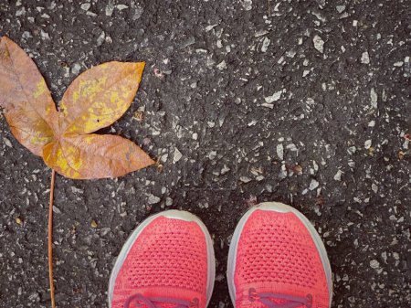 Photo for Background of a dead leaf and pair of sport shoes on an asphalt road. - Royalty Free Image