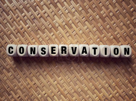 Photo for Nature conservation and awareness concept. CONSERVATION written on wooden blocks. On blurred styled background. - Royalty Free Image