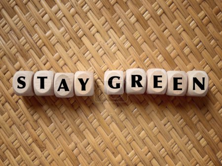 Photo for Nature conservation and awareness concept. STAY GREEN written on wooden blocks. On blurred styled background. - Royalty Free Image