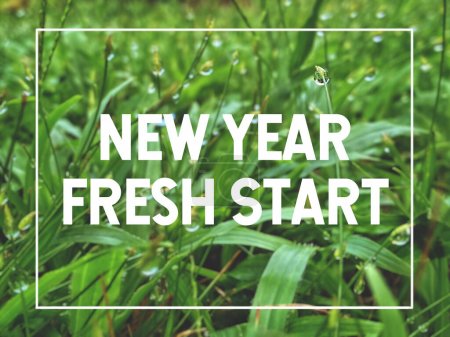 Inspirational Concept - NEW YEAR FRESH START text background. Stock photo.