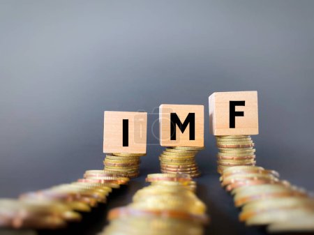 Concepto financiero y económico - Cartas del FMI sobre bloques de madera. Foto de stock.